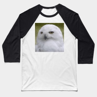 Snowy Owl Baseball T-Shirt